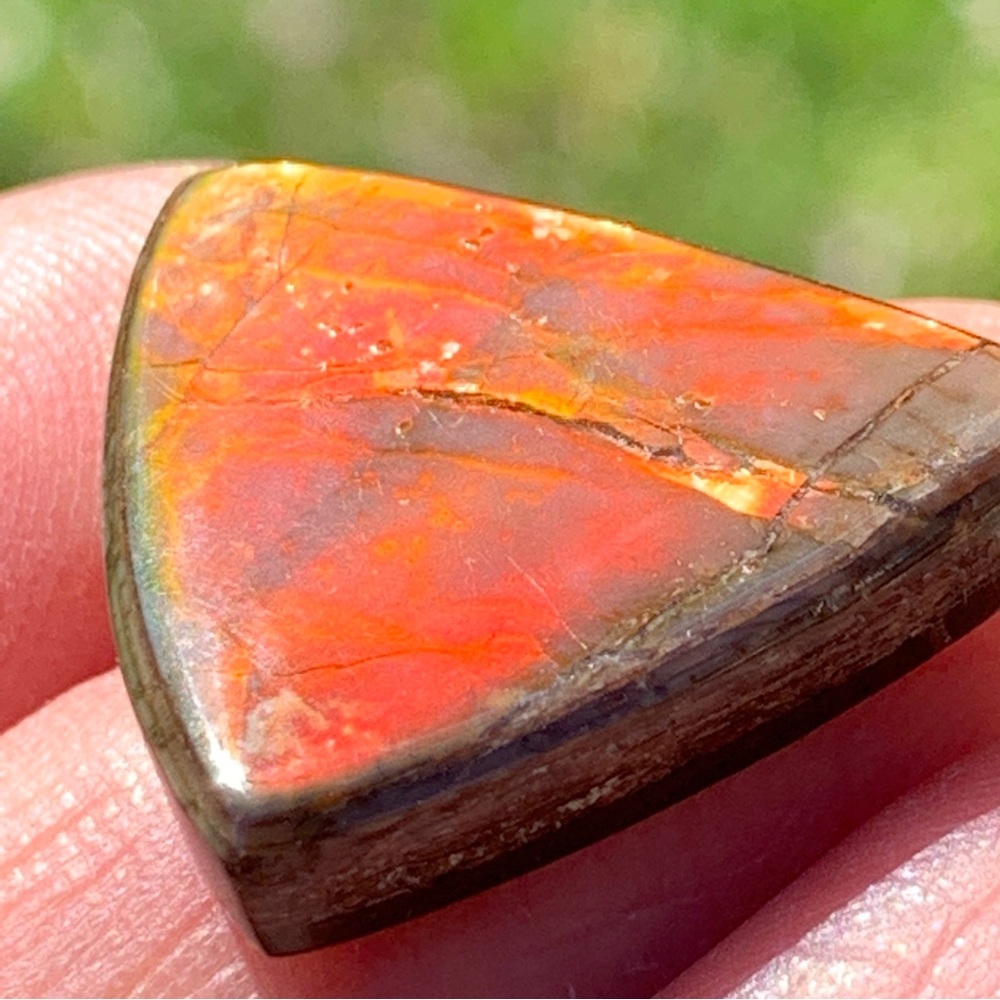 19.04cts Natural Canadian Ammolite Stone - Picture 8 of 17